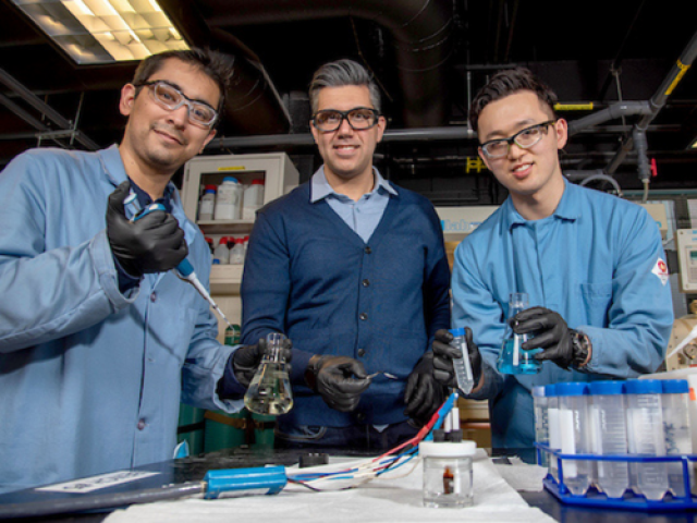 Beniamin Zahiri, center, research assistant director and post-doc, works with graduate students Carlos Juarez-Yescas, far left, (Chemistry) and Patrick Kwon (MatSE) as part of the Braun Research Group at the Engineering Sciences Building in Urbana on Feb. 23.